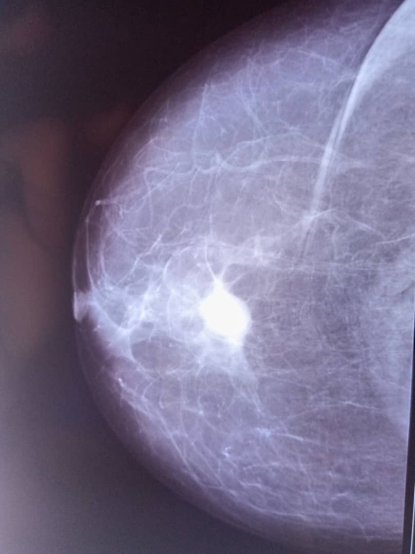 WhatsApp Image 2025-04-14 at 8.39.45 AM